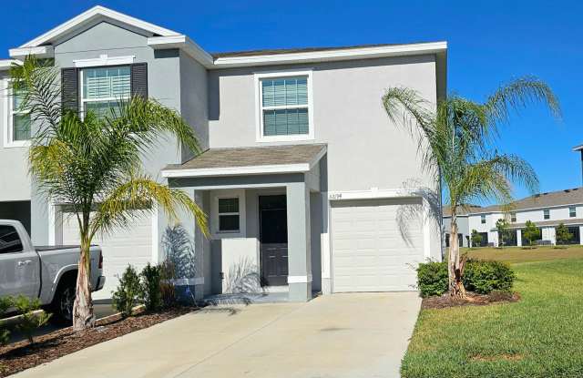 Meadow Ridge at Epperson Lagoon in Wesley Chapel! photos photos