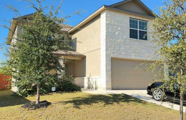 935 Winged Scoter photos photos 935 Winged Scoter photos photos