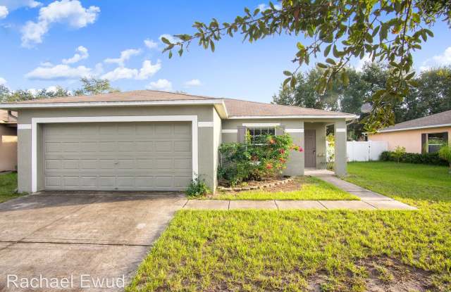 13708 Tramore Drive - 13708 Tramore Drive, Odessa, FL 33556