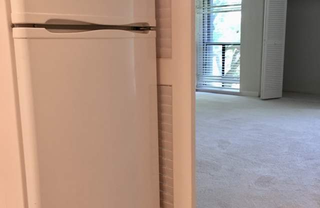 PRICE REDUCTION AS OF 01/2026! An Efficiency Apartment in Silver Spring RIGHT NEXT TO FOREST GLEN METRO Gallery 4