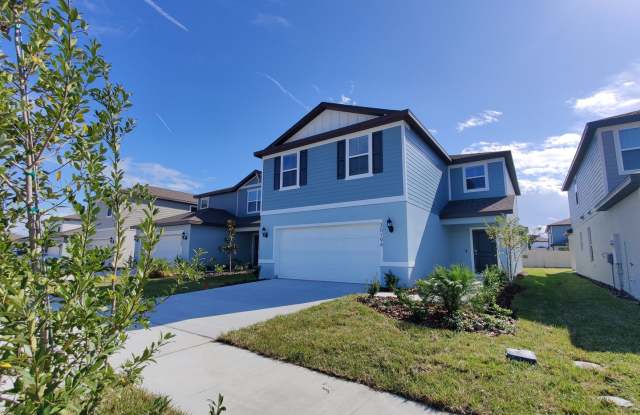 30194 Merilee Place Wesley Chapel, FL 33545 photos photos