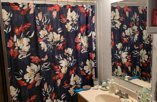 4 bedroom 2 bath available 9/1/2023 Gallery 1