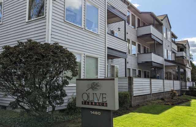 OliveT photos photos