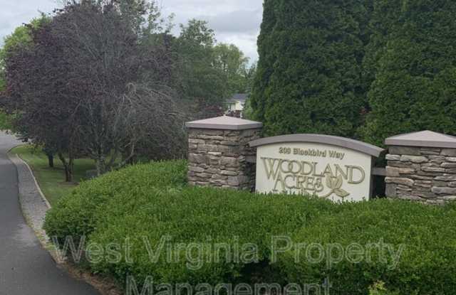 196 Cardinal Way - 196 Cardinal Way, Lewisburg, WV 24901