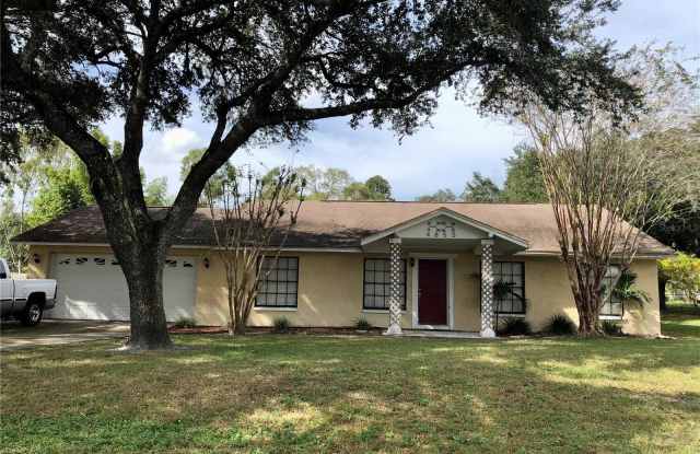 4855 GULFSTREAM PLACE - 4855 Gulfstream Place, Land O' Lakes, FL 34639