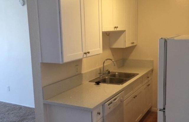 3111 Macaulay St #104 Gallery 3