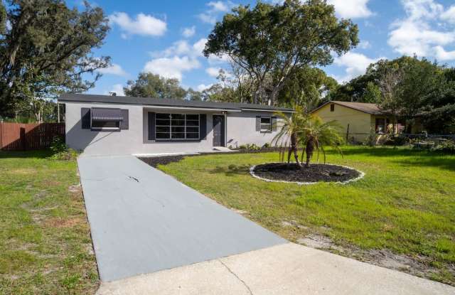 Updated 3/2 Pool Home in Apopka (Mt. Plymouth Lakes) photos photos