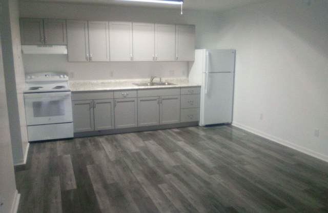 901 Russ Lake Drive - 901 Russ Lake Drive, Springfield, FL 32404