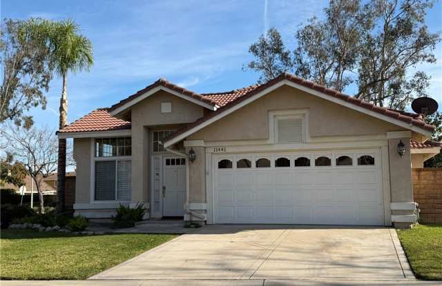 11441 Candela photos photos