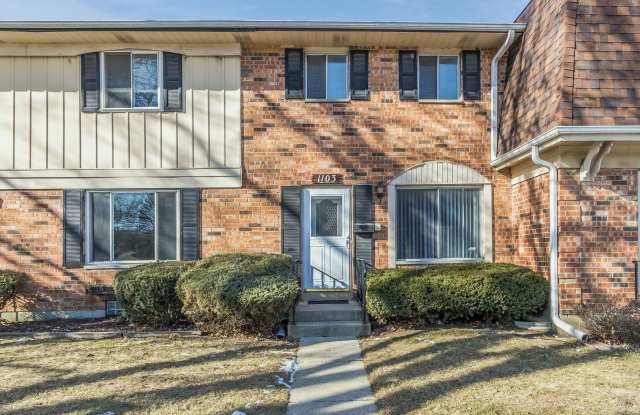 Richton Park Townhome - 1103 Euclid Lane, Richton Park, IL 60471