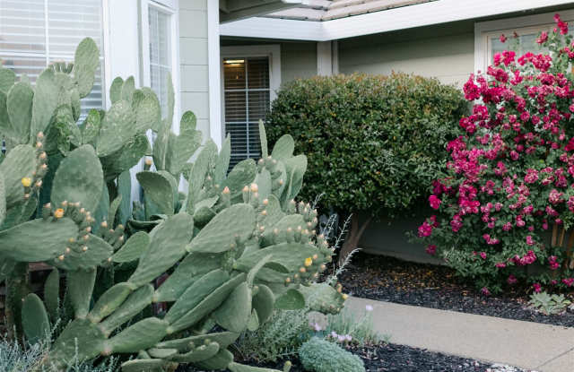 2120 Boyden Drive photos photos