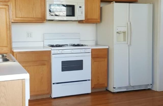 1523 N Elk Grove Ave 3 - 1523 North Elk Grove Avenue, Chicago, IL 60622