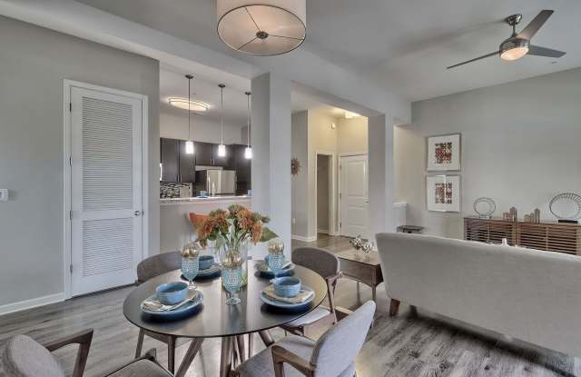 Nexus at Sandhill Apartment Homes Gallery 4