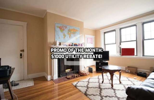 $1,000 Rebate Promo! Massive Modern Apt Near BU! Cat Friendly! See YT Video photos photos