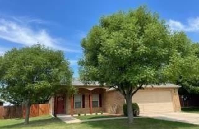 3003 Lake Ridge Drive - 3003 Lake Ridge Drive, Sanger, TX 76266