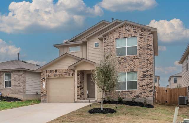 1006 Western Whipbird photos photos 1006 Western Whipbird photos photos