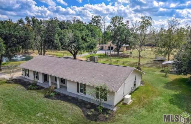 24054 Joe May Road - 24054 Joe May Road, Livingston County, LA 70726