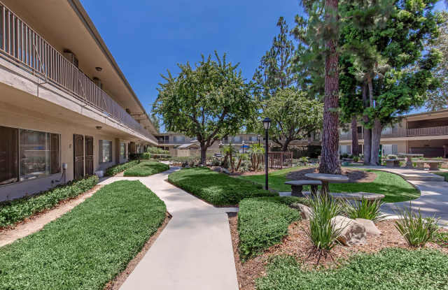 Saddleback Pines Gallery 2