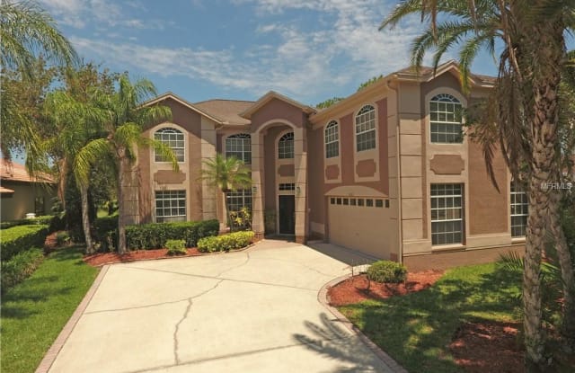 12503 ROYAL DUBLIN AVENUE - 12503 Royal Dublin Avenue, Keystone, FL 33556