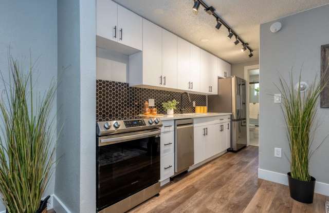 1341 Cook Gallery 4