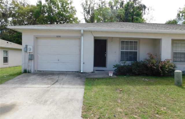 37216 GRASSY HILL LANE - 37216 Grassy Hill Lane, Dade City, FL 33525