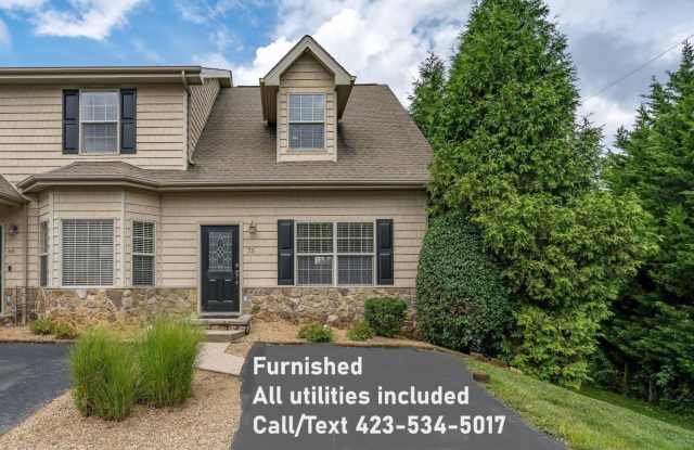 75 Stonebriar Ct - 75 Stonebriar Court, Spurgeon, TN 37615