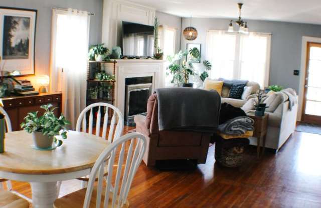 Stunning 3 bed house by MSU! Gallery 4