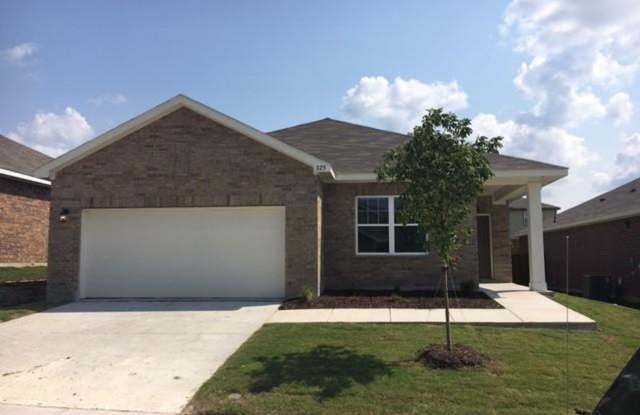 825 Cedar Elm Dr - 825 Cedar Elm Drive, Anna, TX 75409