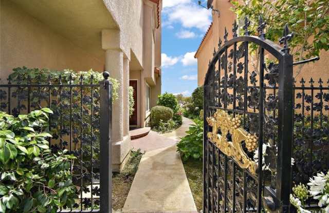 39 Saint Kitts Gallery 3