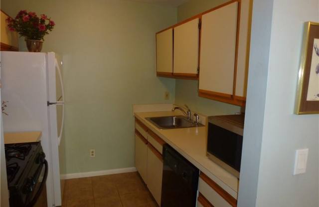 119 Water Front View Gallery 3