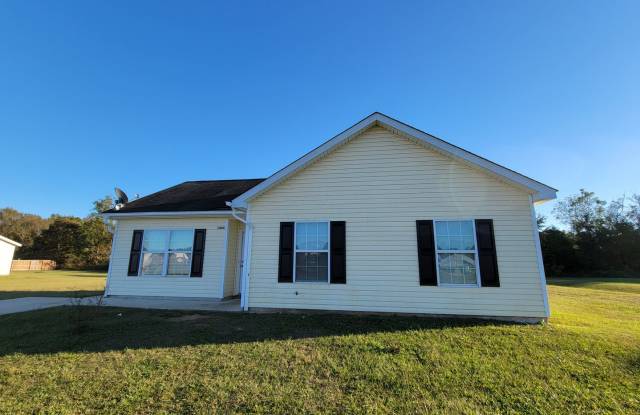 6446 Swallowtail Drive - 6446 Swallowtail Drive, Bulloch County, GA 30461