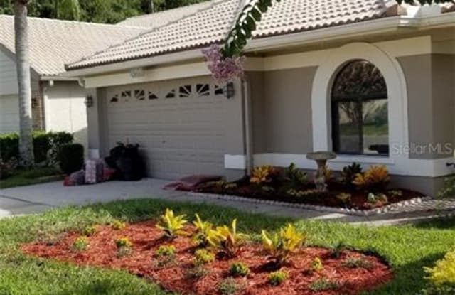 3664 DARSTON STREET - 3664 Darston Street, East Lake, FL 34685
