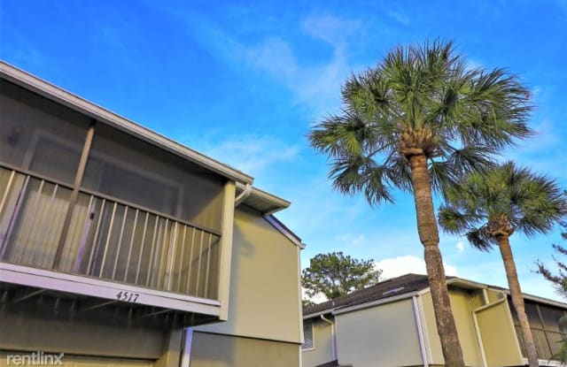 4517 Ring Neck Rd - 4517 Ring Neck Road, Orlando, FL 32808