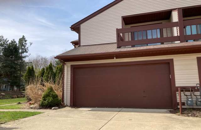 Condo for Rent Richmond Heights photos photos