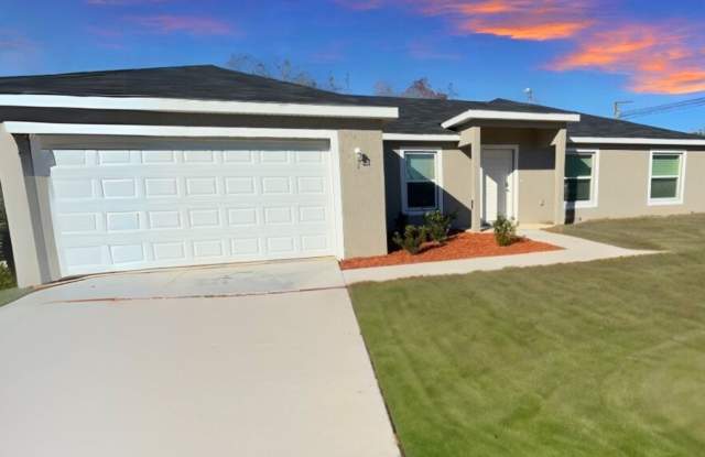 1 Olive Rd - 1 Olive Road, Marion County, FL 34472