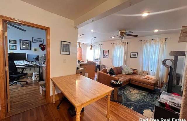 Pet Friendly, Lower Allston Apt w 2 baths, near EVERYTHING! Spacious, Beautiful New Park, Trader Joes. photos photos