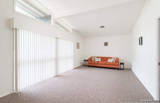 3811 RIDGELINE DR Gallery 3