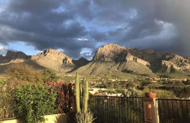 784 E Camino Diestro photos photos