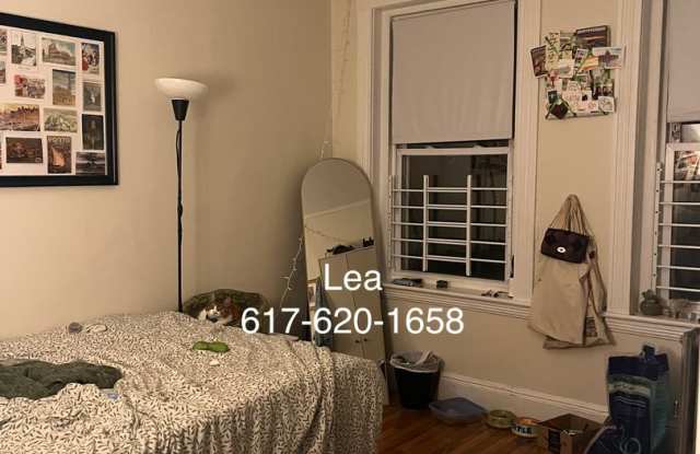 NO FEE! September stunning 2bed in Allston/Brighton! Cats friendly! B line  66 bus! - 4 Vinal Street, Boston, MA 02135