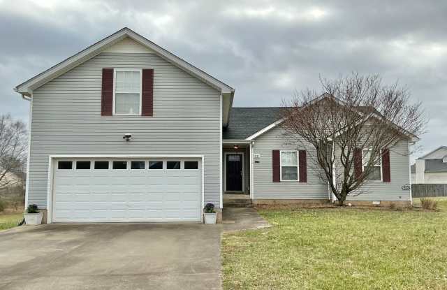 3787 Man O War - 3787 Man O War Boulevard, Clarksville, TN 37042