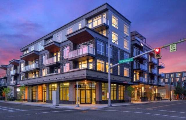 Solace photos photos