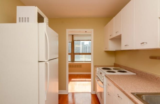 1455 Sandburg - 1455 N Sandburg Ter, Chicago, IL 60610