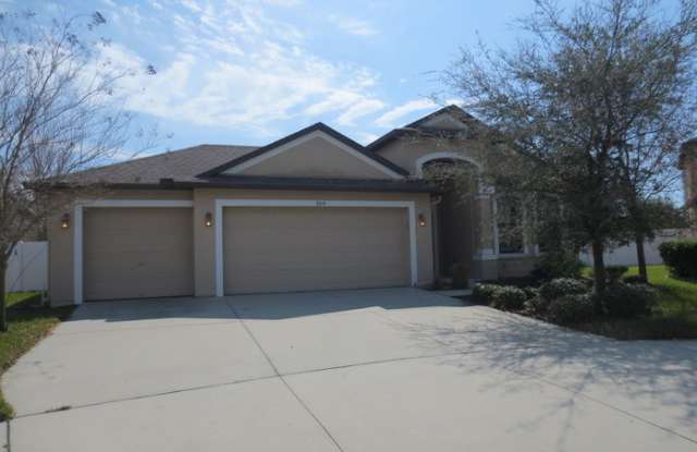 8614 White Poplar Drive - 8614 White Poplar Drive, Progress Village, FL 33578