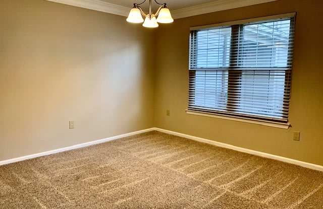 411 Steeplechase Ct Gallery 2