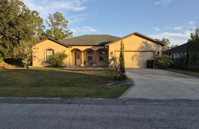 3 Ramshorn Place - 3 Ramshorn Place, Palm Coast, FL 32164