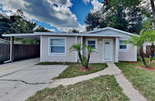 8312 N 39th St - 8312 North 39th Street, Tampa, FL 33604