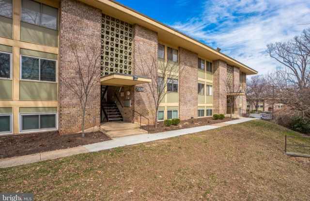 7328 DONNELL PLACE photos photos