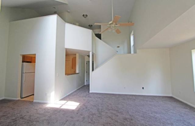 973 Chad St Gallery 2