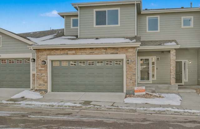 20296 Tall Forest Lane - 20296 Tall Forest Lane, Parker, CO 80134