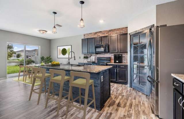 Stunning 5BR House in Wesley Chapel Lagoon Community Gallery 4